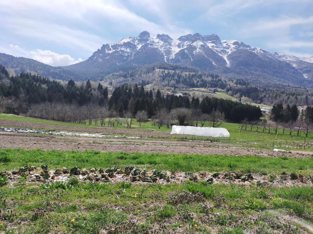 BosentinoAgritur Maso Flonkeri住宿加早餐旅馆 外观 照片