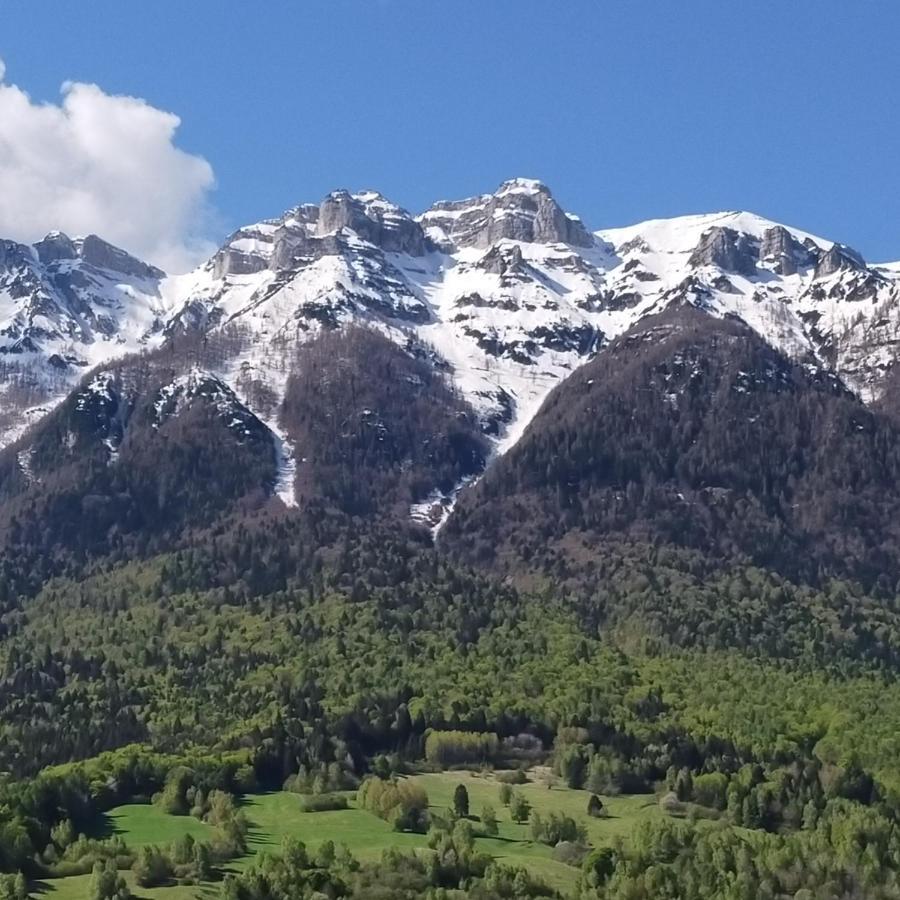 BosentinoAgritur Maso Flonkeri住宿加早餐旅馆 外观 照片