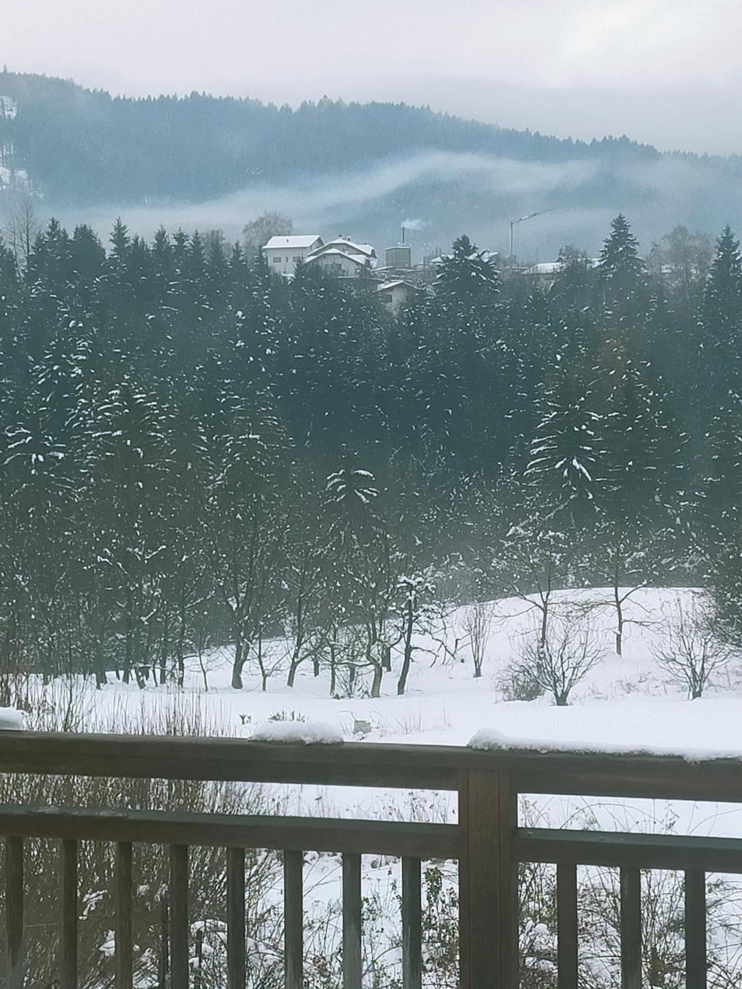 BosentinoAgritur Maso Flonkeri住宿加早餐旅馆 外观 照片